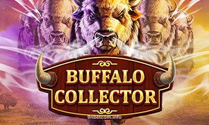 Imagem do jogo Buffalo Collector no 9nbet